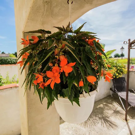 別荘 Cozy Holiday In Sur Seugne With Pool *